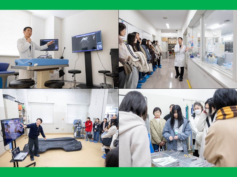 3月28日(土)にオープンキャンパス in 酪農学園大学を開催しました！