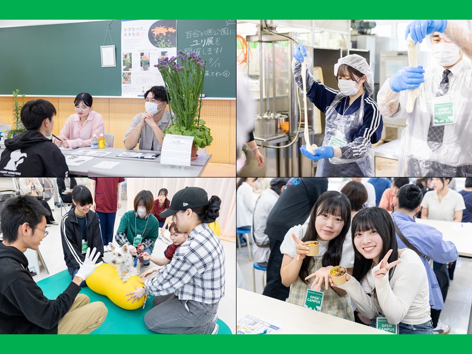 6月28日(日)にオープンキャンパス in 酪農学園大学を開催しました！